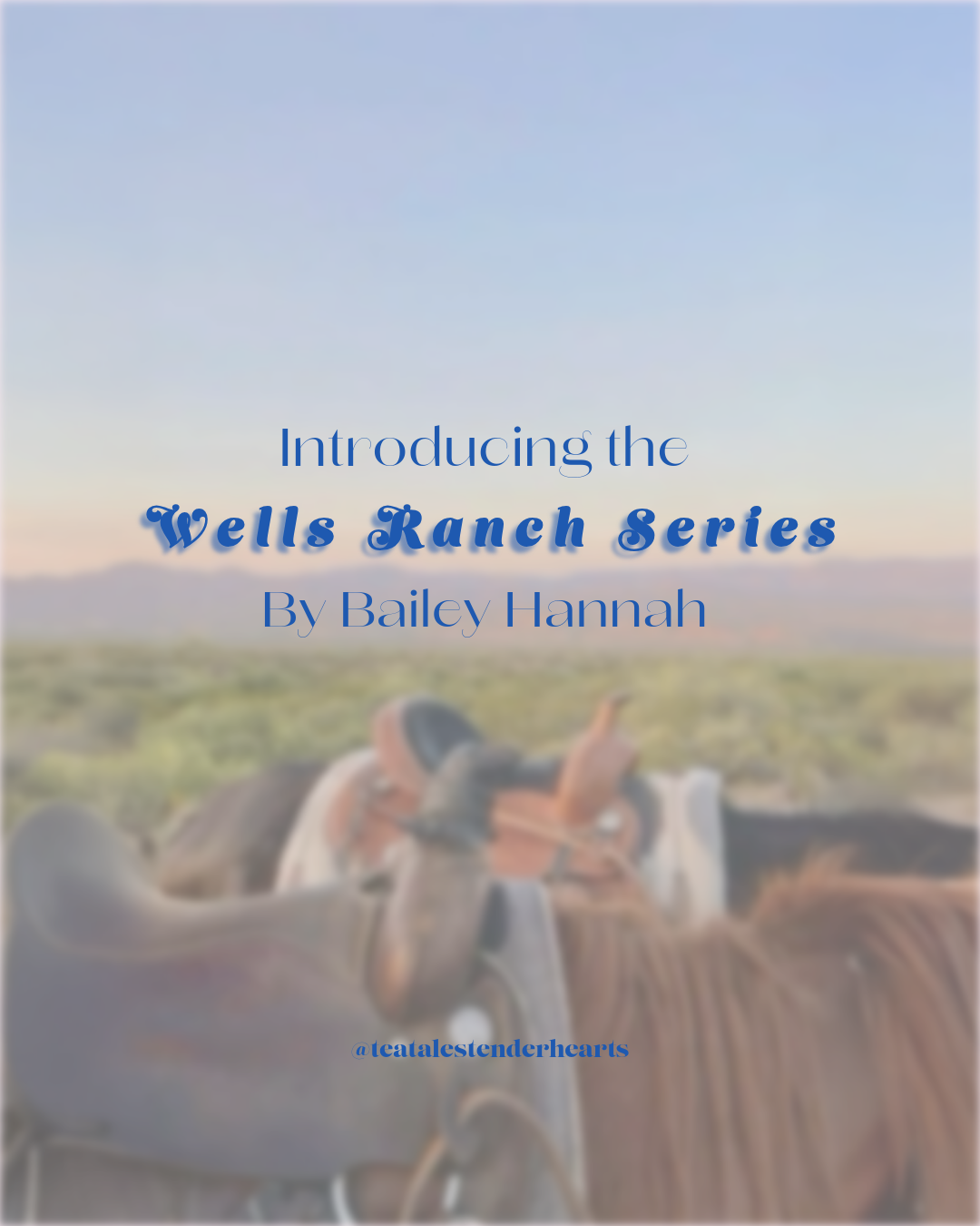 The Wells Ranch Series by Bailey Hannah
